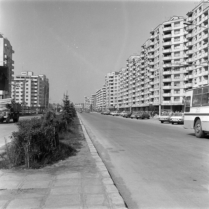 minerva_Constructii_c5r5_013