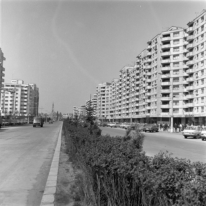 minerva_Constructii_c5r5_015