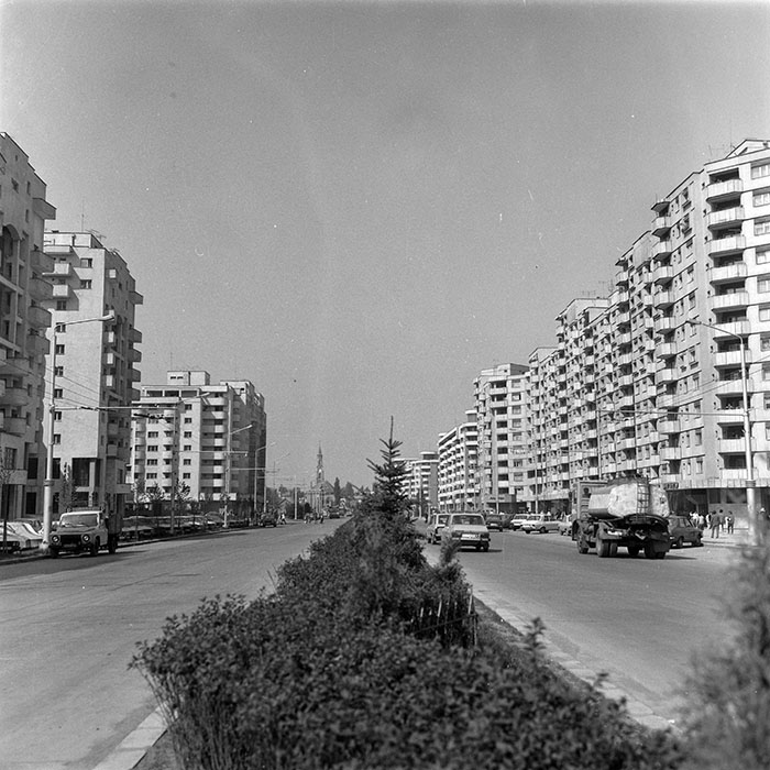 minerva_Constructii_c5r5_017