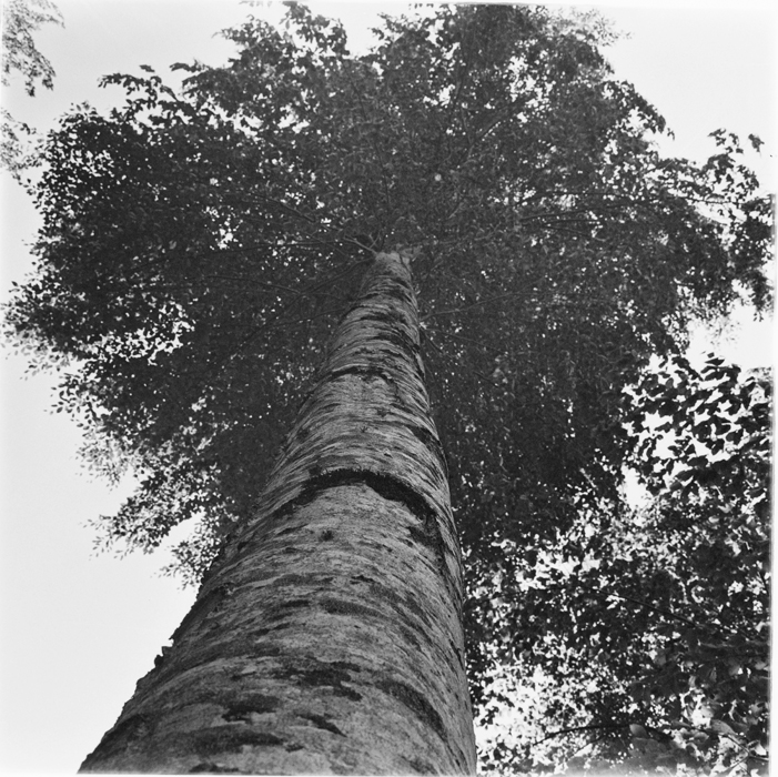 minerva_deak_f_c1_industrie-001