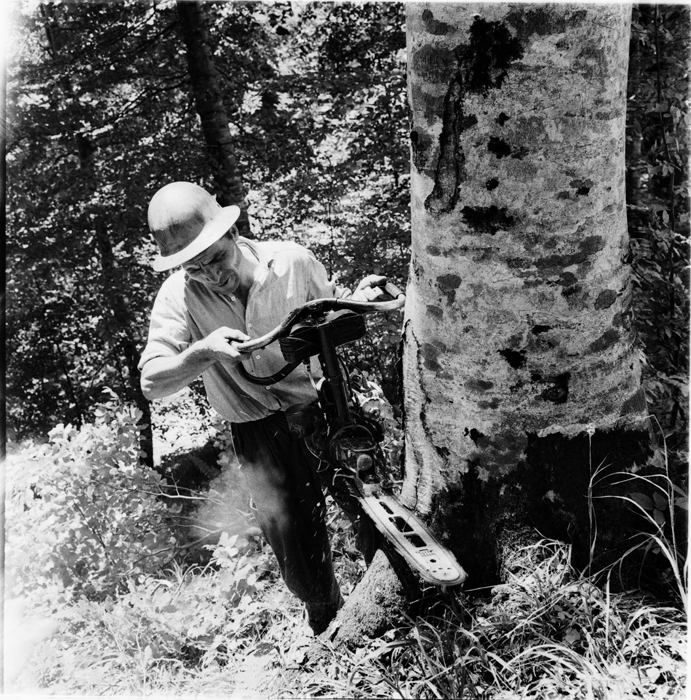 minerva_deak_f_c1_industrie-002