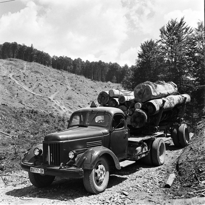 minerva_deak_f_c1_industrie-011