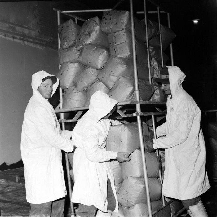 minerva_deak_f_c1_industrie-013