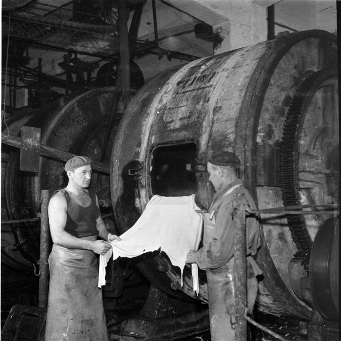 minerva_deak_f_c1_industrie-016