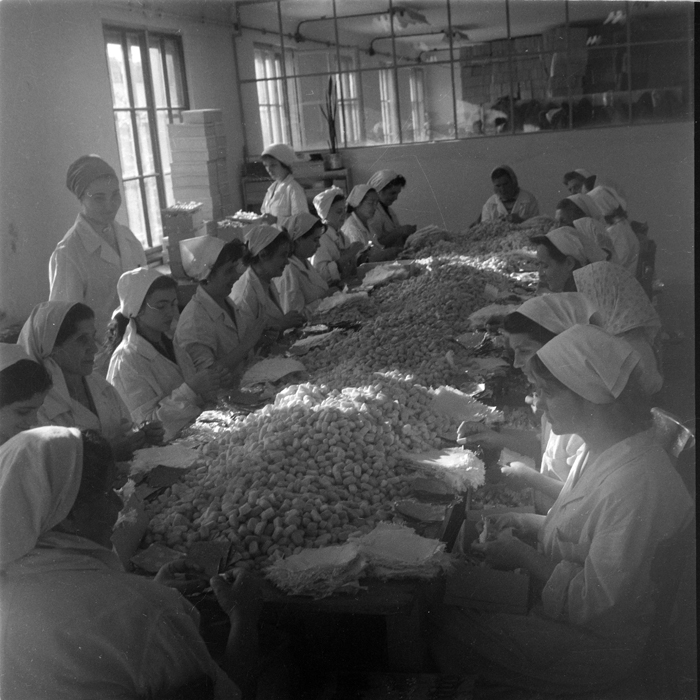 minerva_deak_f_c1_industrie-050