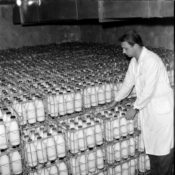 minerva_deak_f_c1_industrie-058