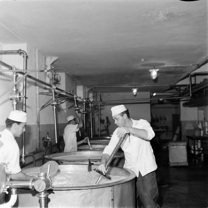 minerva_deak_f_c1_industrie-059