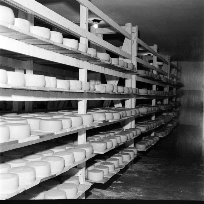 minerva_deak_f_c1_industrie-130