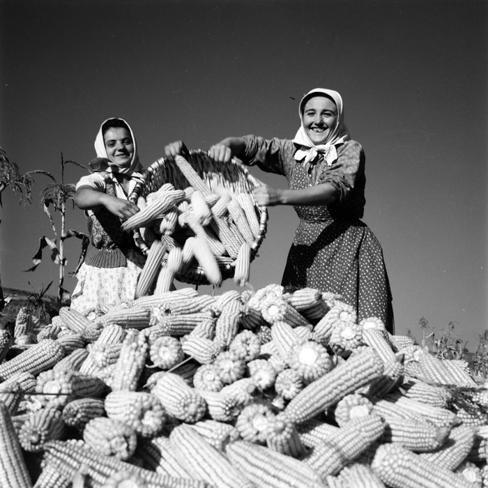 minerva_deak_f_c1_industrie-131