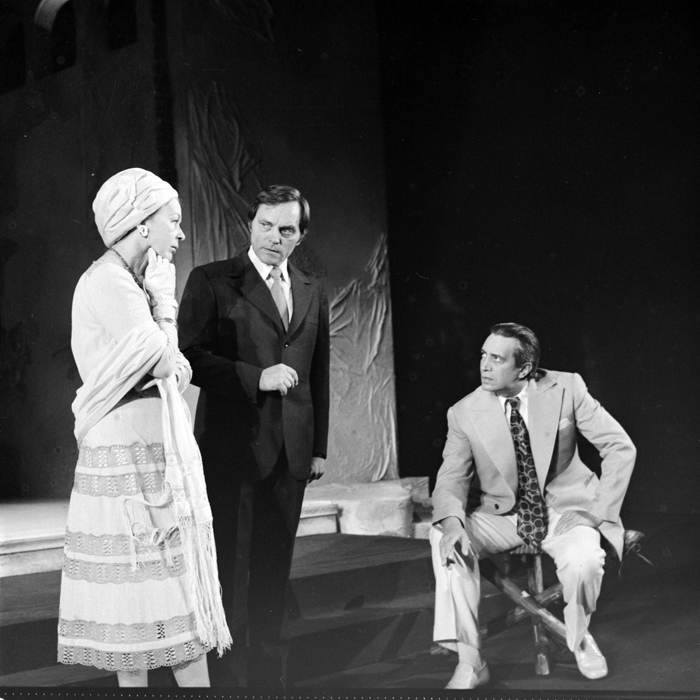 minerva_deak_f_c1_kolozsvari magyar szinhaz_1-7-010