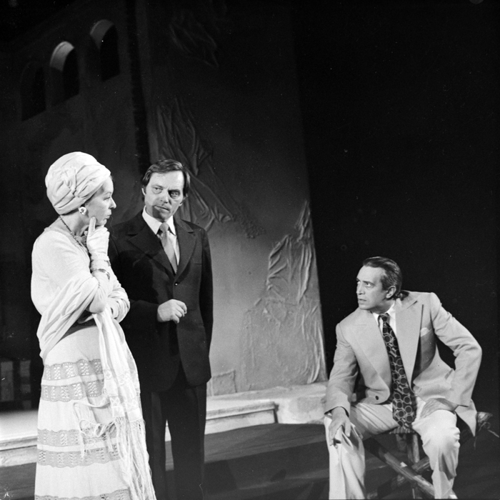 minerva_deak_f_c1_kolozsvari magyar szinhaz_1-7-011