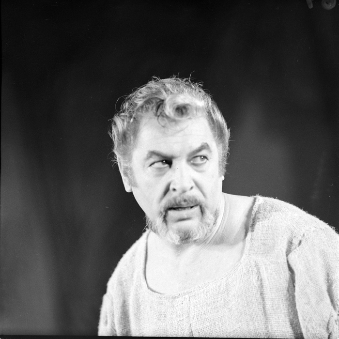 minerva_deak_f_c1_kolozsvari magyar szinhaz_1-7-013