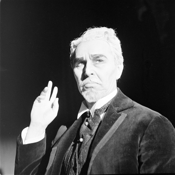 minerva_deak_f_c1_kolozsvari magyar szinhaz_1-7-046