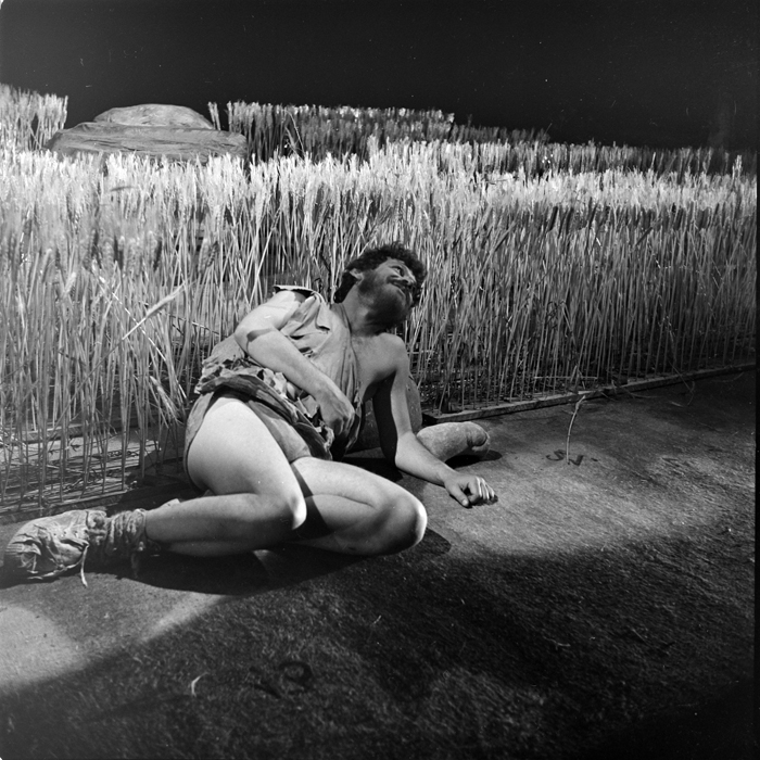 minerva_deak_f_c1_kolozsvari magyar szinhaz_1-7-061