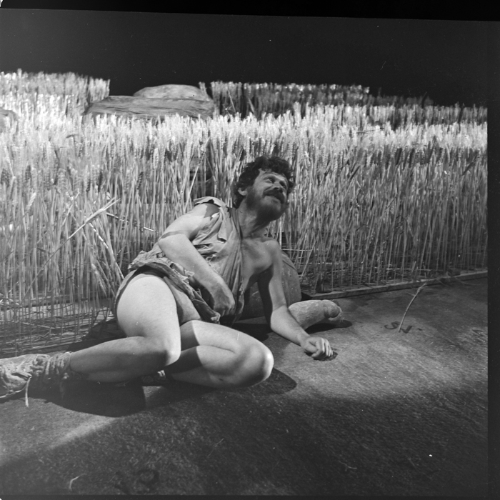 minerva_deak_f_c1_kolozsvari magyar szinhaz_1-7-062