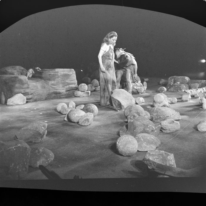 minerva_deak_f_c1_kolozsvari magyar szinhaz_1-7-063