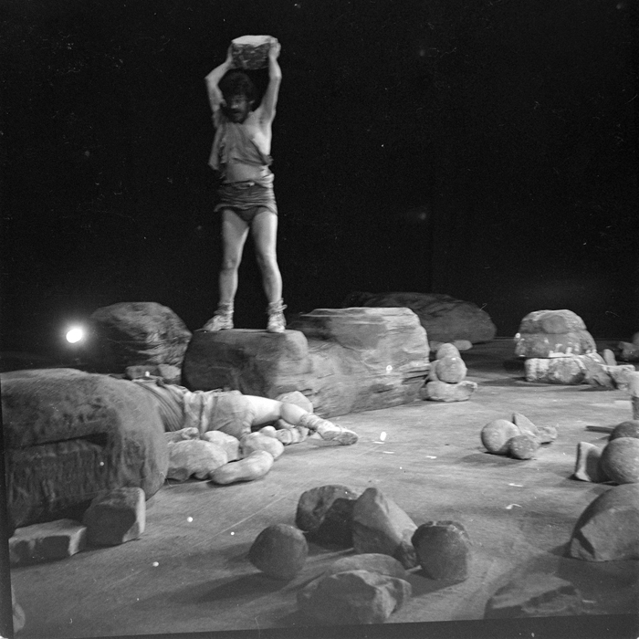 minerva_deak_f_c1_kolozsvari magyar szinhaz_1-7-065