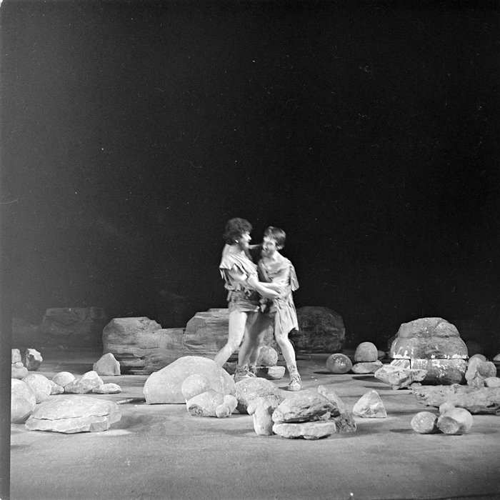 minerva_deak_f_c1_kolozsvari magyar szinhaz_1-7-067