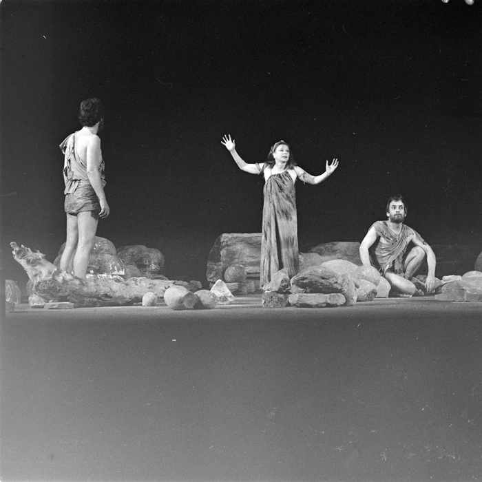 minerva_deak_f_c1_kolozsvari magyar szinhaz_1-7-070