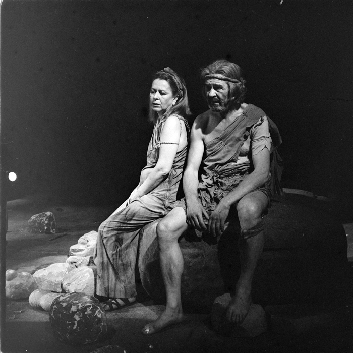 minerva_deak_f_c1_kolozsvari magyar szinhaz_1-7-077