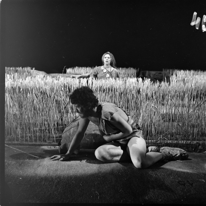 minerva_deak_f_c1_kolozsvari magyar szinhaz_1-7-082