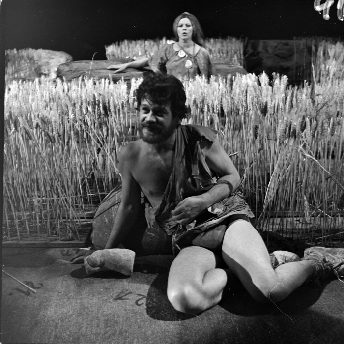 minerva_deak_f_c1_kolozsvari magyar szinhaz_1-7-083