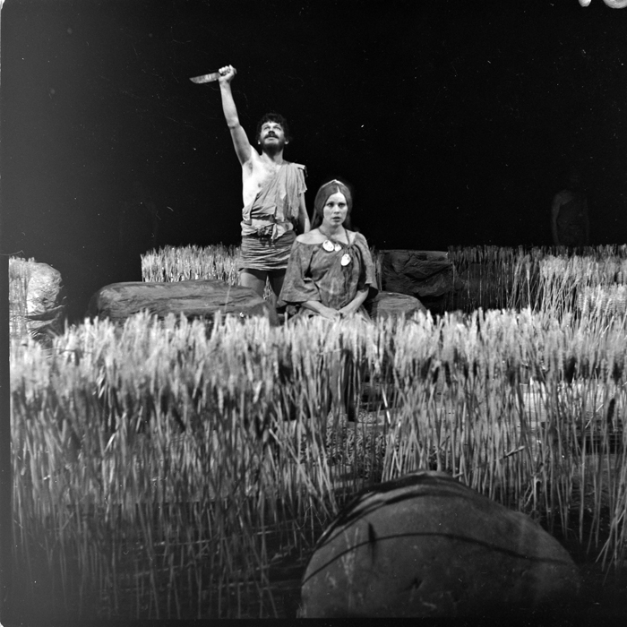 minerva_deak_f_c1_kolozsvari magyar szinhaz_1-7-085