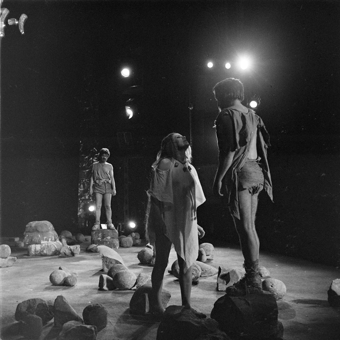 minerva_deak_f_c1_kolozsvari magyar szinhaz_1-7-086