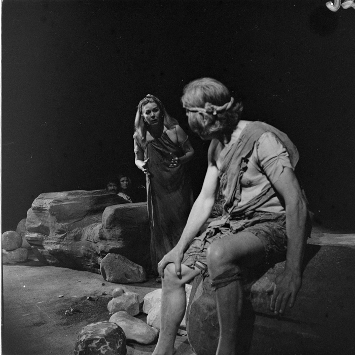 minerva_deak_f_c1_kolozsvari magyar szinhaz_1-7-090