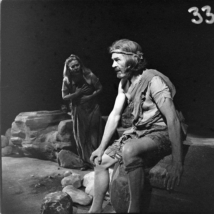 minerva_deak_f_c1_kolozsvari magyar szinhaz_1-7-091