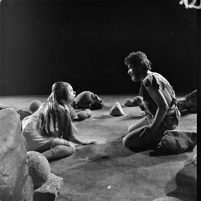 minerva_deak_f_c1_kolozsvari magyar szinhaz_1-7-148