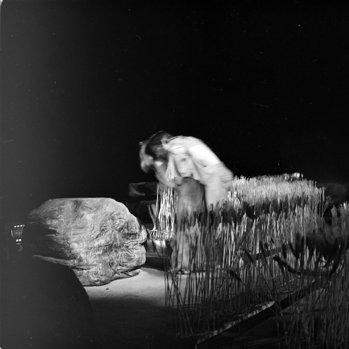 minerva_deak_f_c1_kolozsvari magyar szinhaz_1-7-151