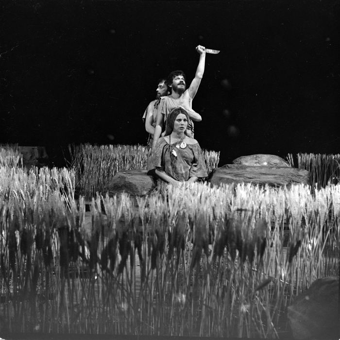 minerva_deak_f_c1_kolozsvari magyar szinhaz_1-7-156