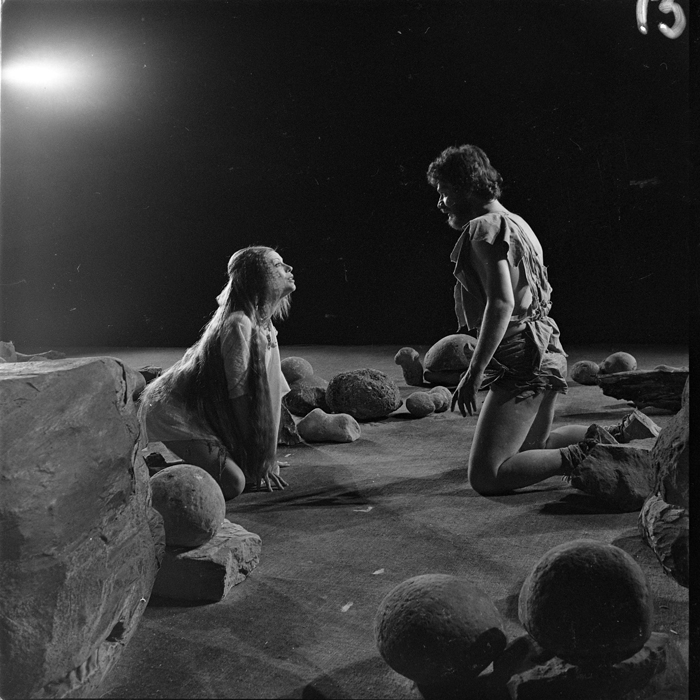 minerva_deak_f_c1_kolozsvari magyar szinhaz_1-7-171