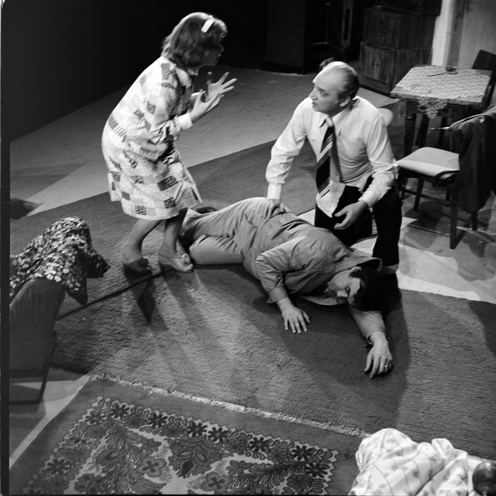 minerva_deak_f_c1_kolozsvari magyar szinhaz_1-7-220