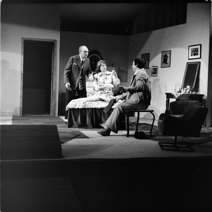 minerva_deak_f_c1_kolozsvari magyar szinhaz_1-7-232