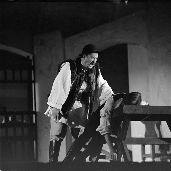 minerva_deak_f_c1_kolozsvari magyar szinhaz_1-7-288