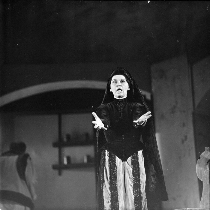 minerva_deak_f_c1_kolozsvari magyar szinhaz_1-7-291