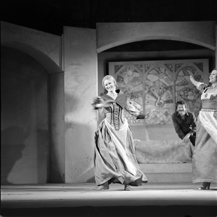 minerva_deak_f_c1_kolozsvari magyar szinhaz_1-7-344