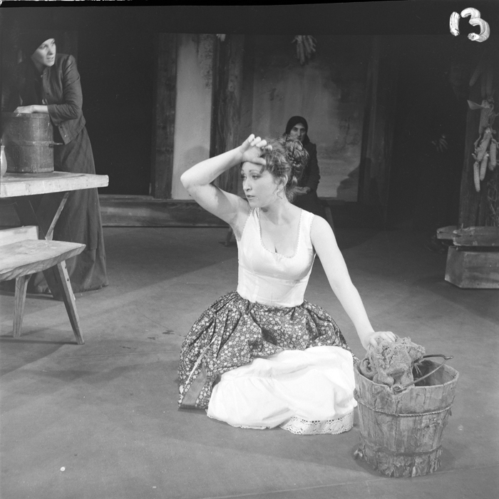 minerva_deak_f_c1_kolozsvari magyar szinhaz_1-7-384