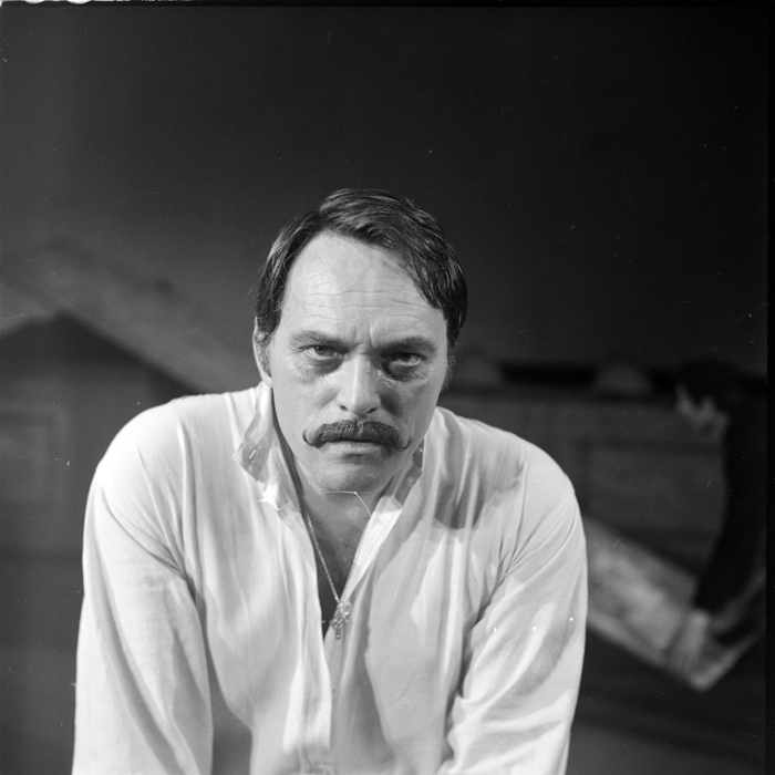 minerva_deak_f_c1_kolozsvari magyar szinhaz_1-7-389