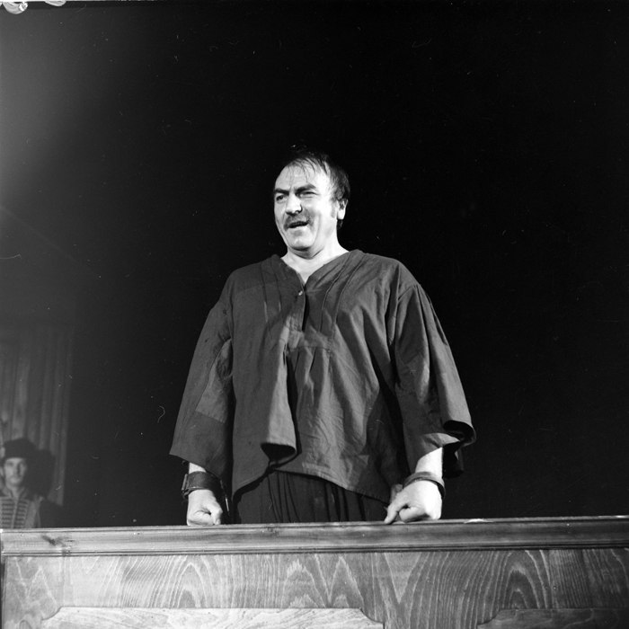 minerva_deak_f_c1_kolozsvari magyar szinhaz_1-7-394