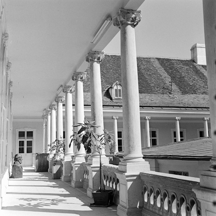 minerva_deak_f_c21_Cluj_spatiul_public_arhitectura-022