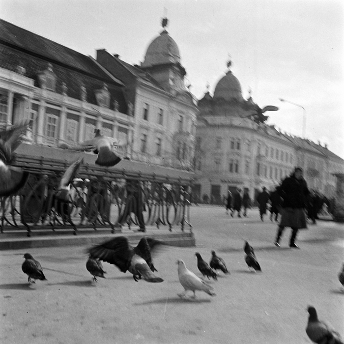 minerva_deak_f_c21_Cluj_spatiul_public_arhitectura-047