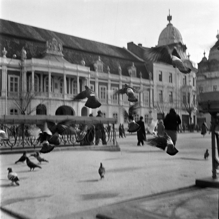 minerva_deak_f_c21_Cluj_spatiul_public_arhitectura-048