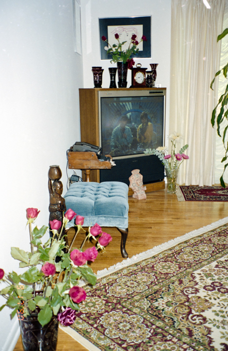 minerva_deak_f_c6_s2_293_party_nalunk_kert-043