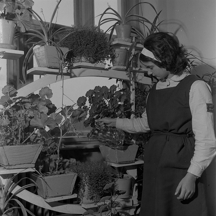 minerva_1965-1972_c1_c03_026