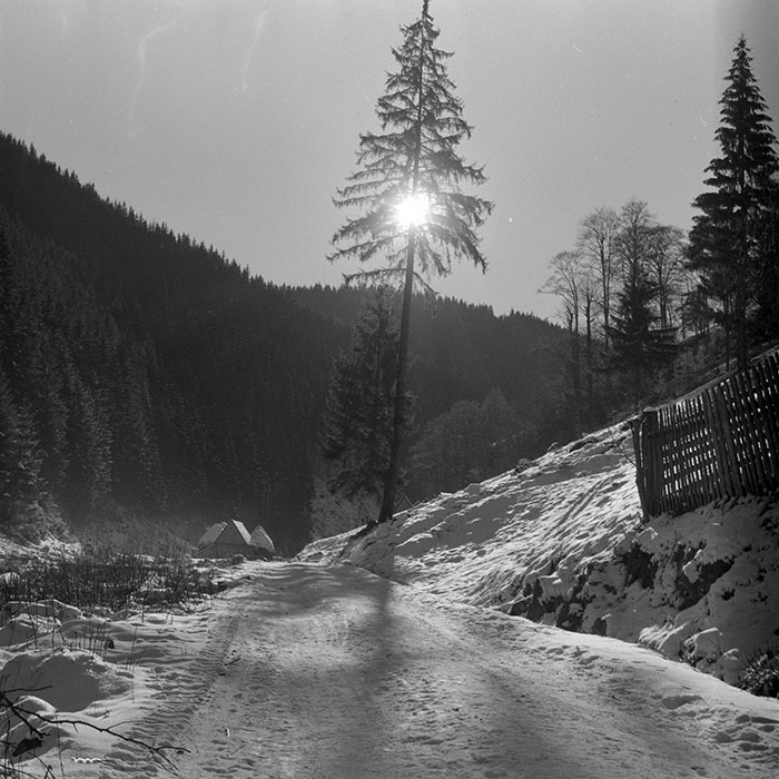 minerva_1965-1972_c1_c06_003