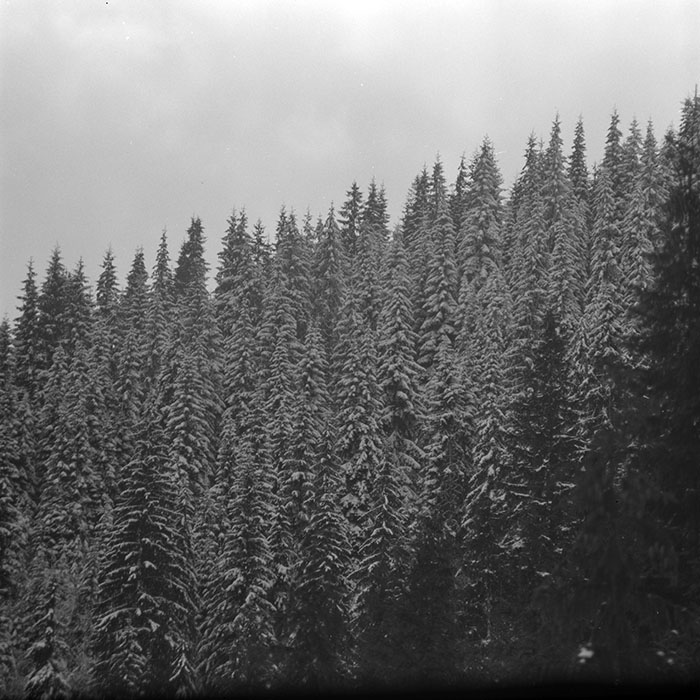 minerva_1965-1972_c1_c06_005