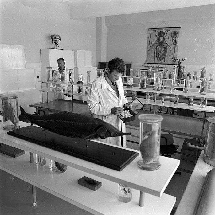 minerva_1965-1972_c1_c18_010